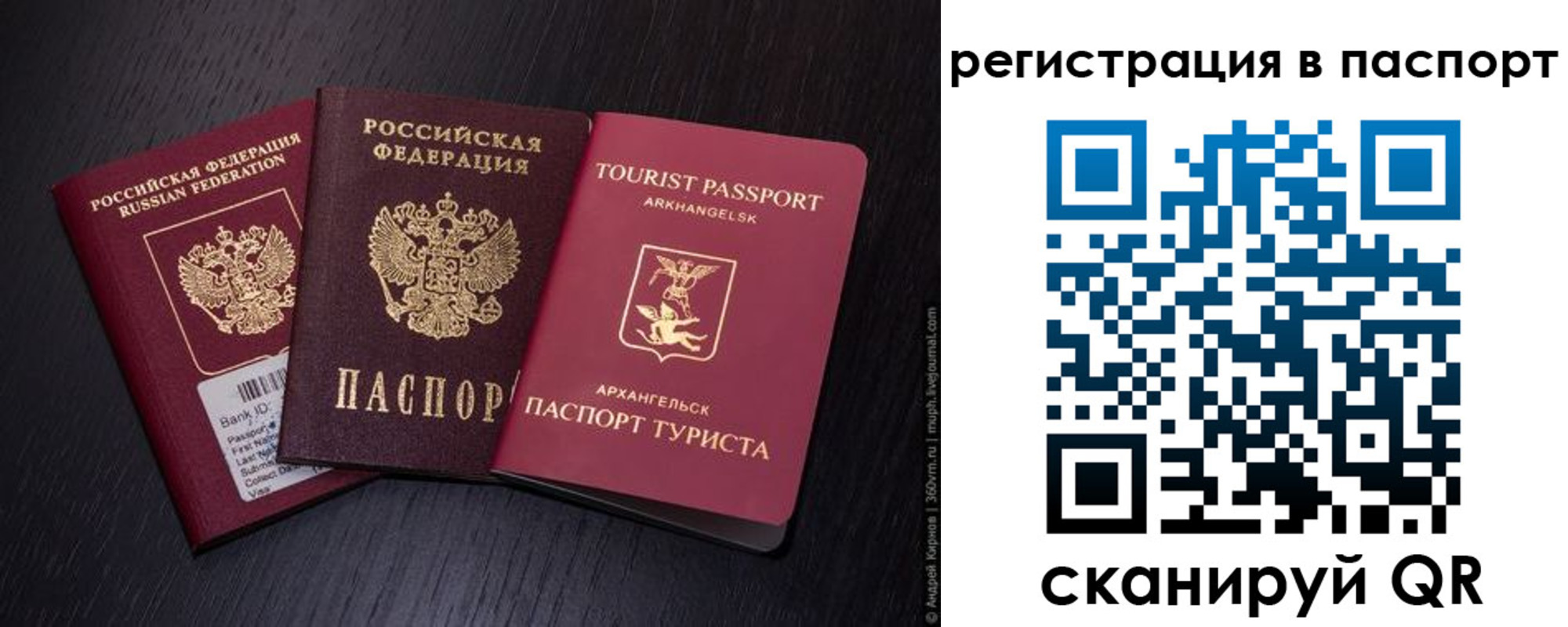 прописка в квартире в Алексеевке